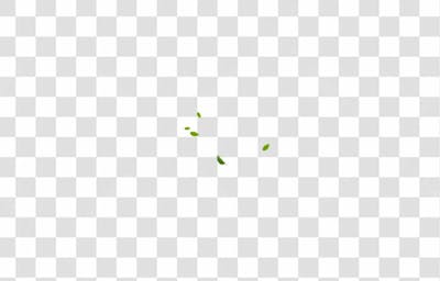 Plantas (11)