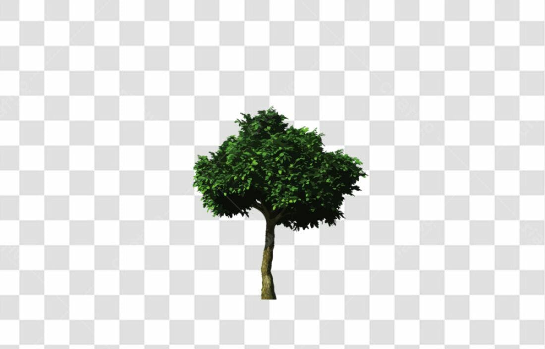 Icone Árvore Verde PNG com fundo transparente