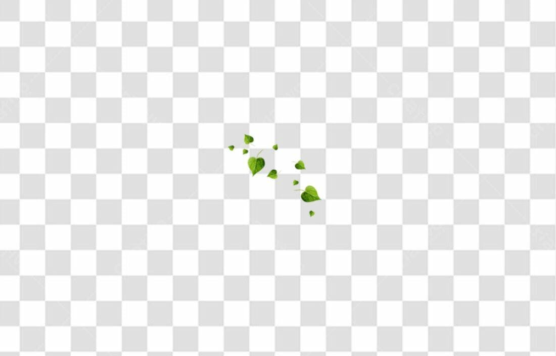 Icone Folhas Verdes PNG com fundo transparente