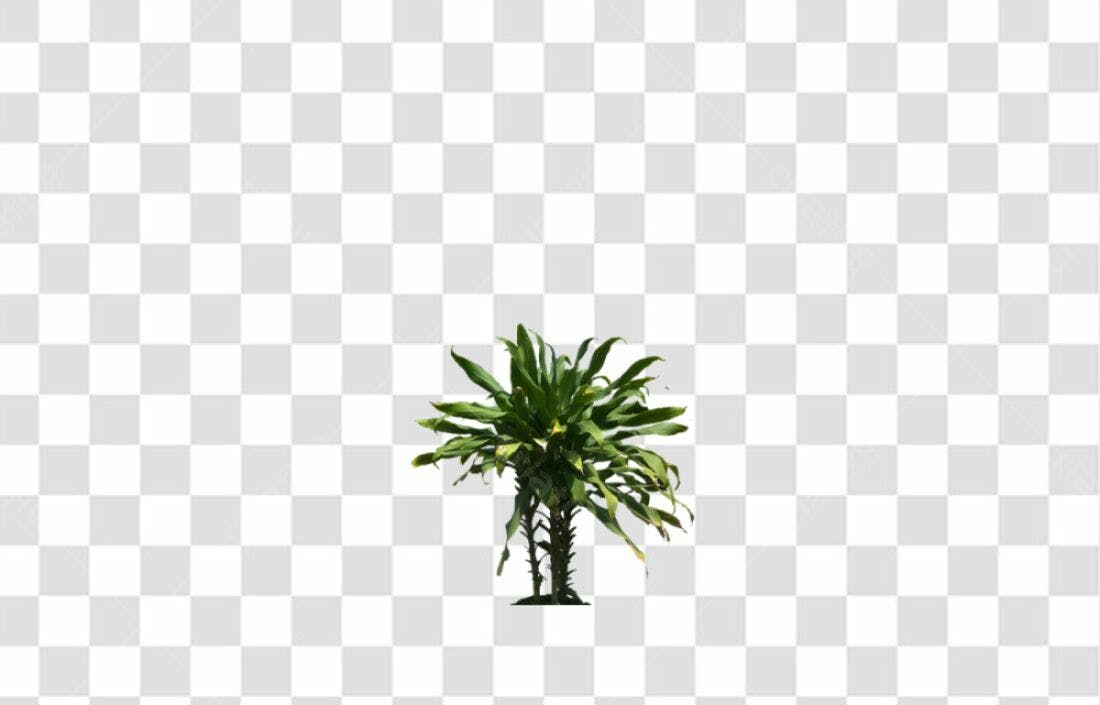 Icone Planta Tropical PNG com fundo transparente