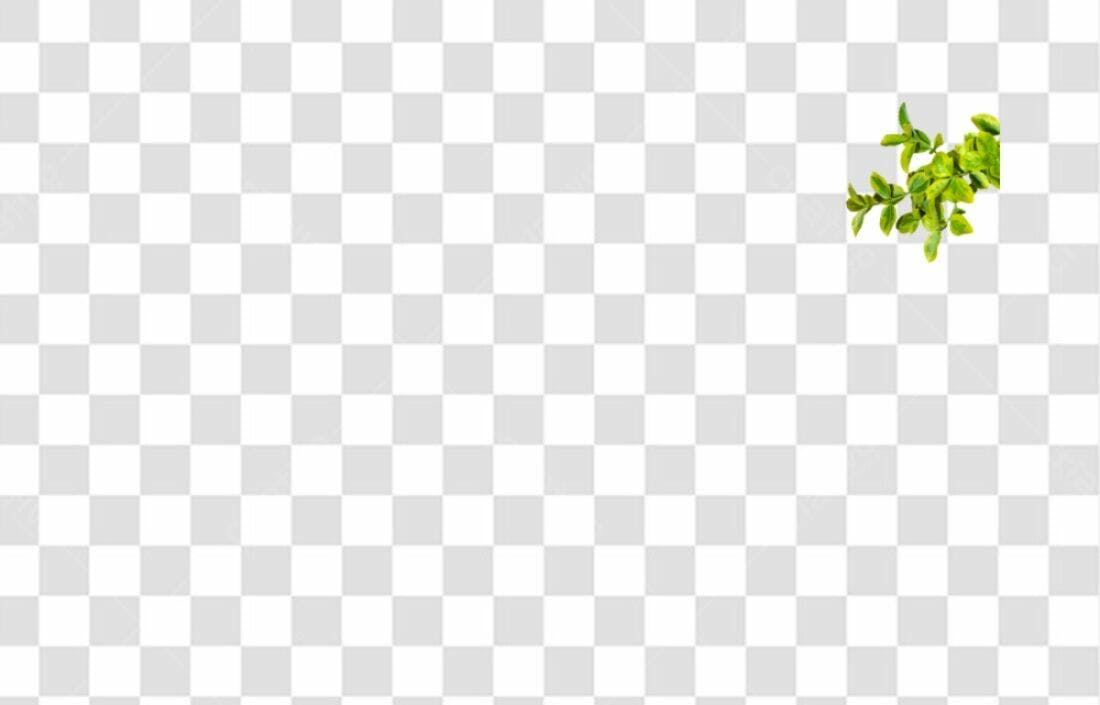 Icone Folhagem Verde PNG com fundo transparente