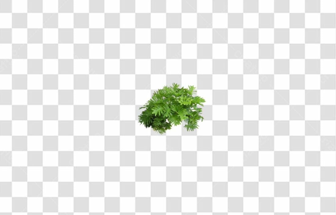 Icone Plantas Folhagem Verde PNG com fundo transparente