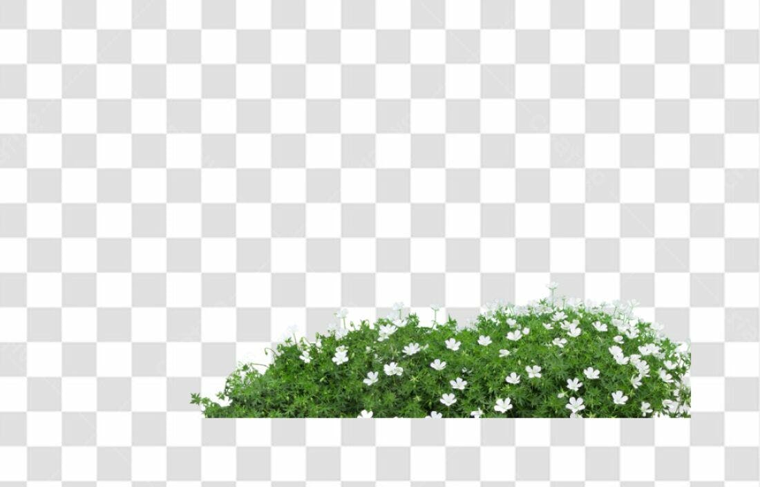 Adorno de Flores Brancas PNG com fundo transparente