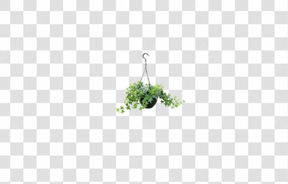 Icone Planta Pendurada Verde PNG com fundo transparente