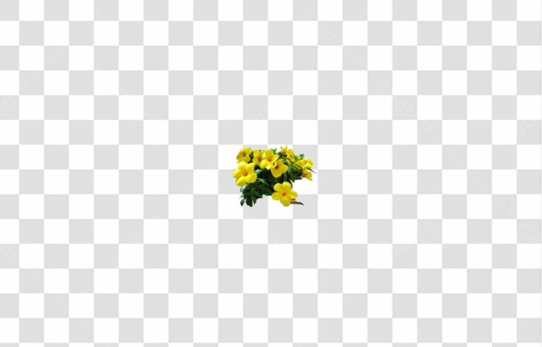 Icone Flores Amarelas PNG com fundo transparente
