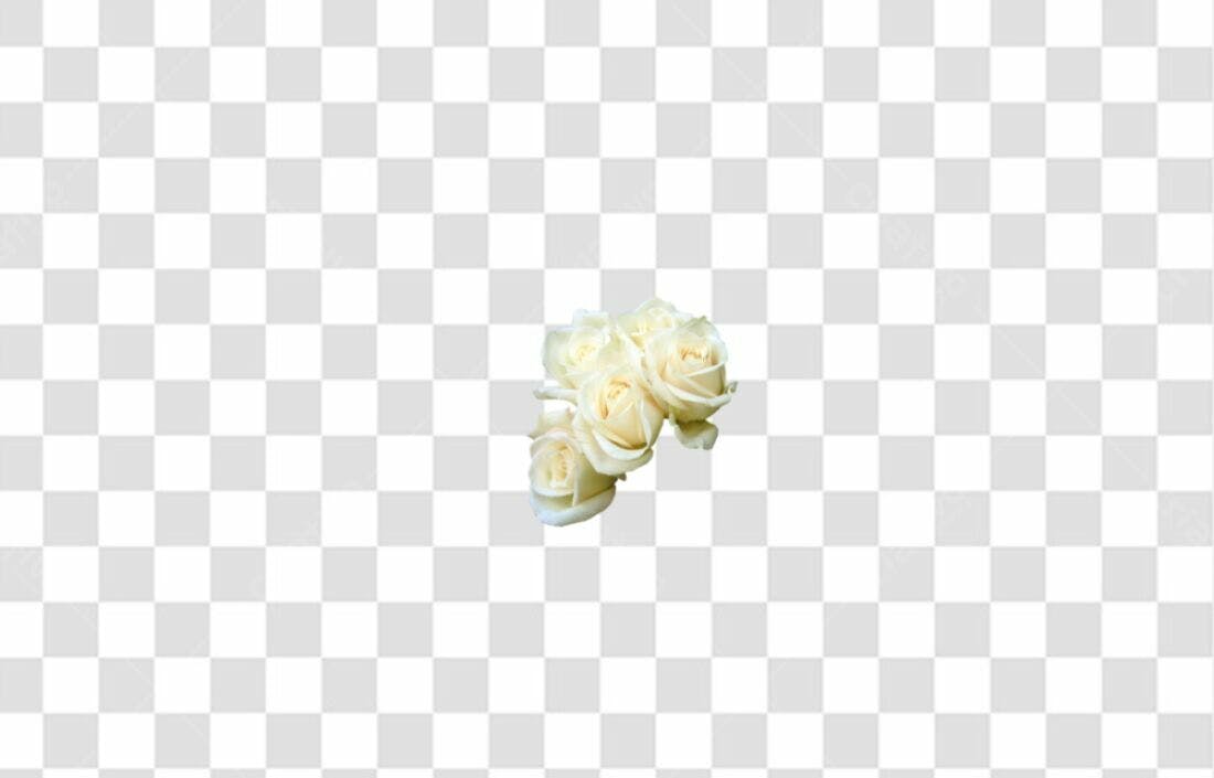Icone Rosas Brancas PNG com fundo transparente