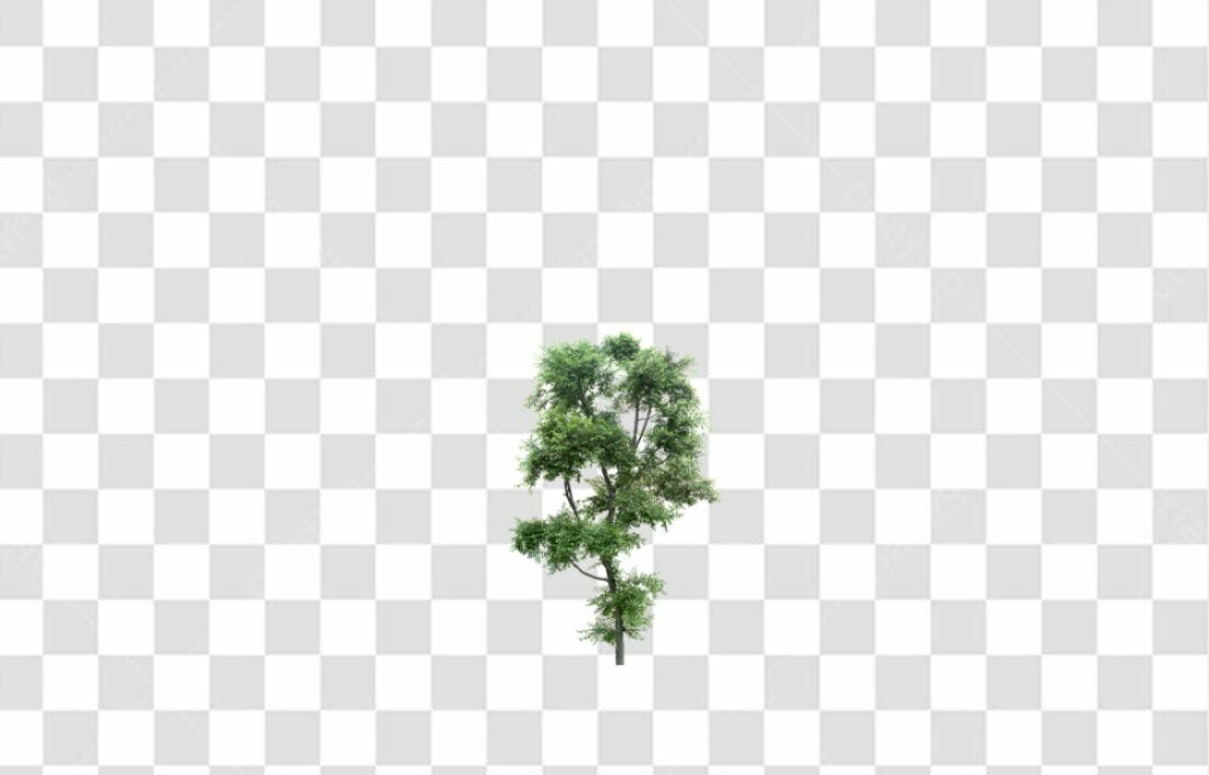 Icone Árvore Verde PNG com fundo transparente