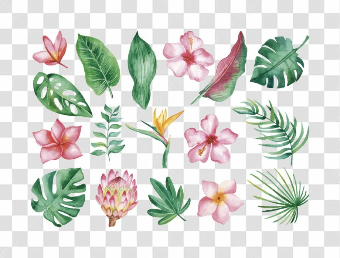 Icones florais tropicaís PNG com fundo transparente
