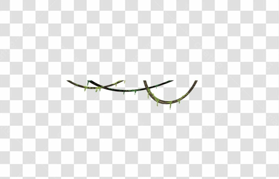 Icone Trepadeira Selva PNG com fundo transparente
