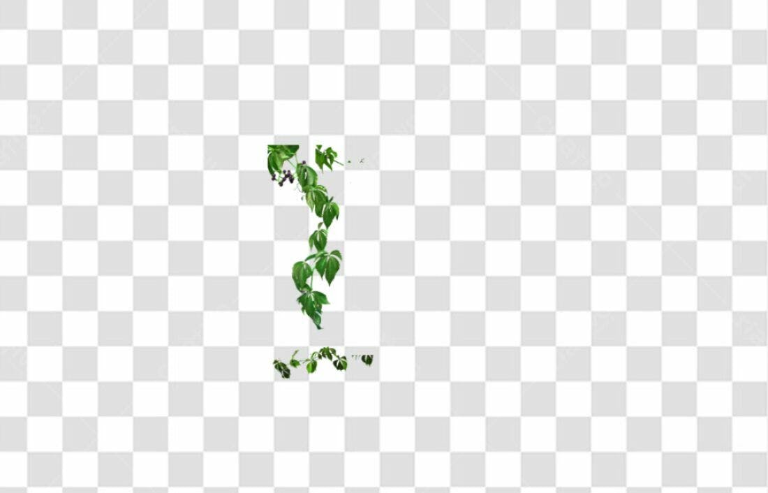 Icone Trepadeira Folhas PNG com fundo transparente