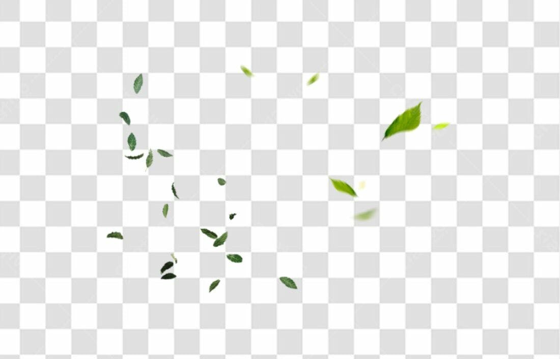 Icone Folhas PNG com fundo transparente