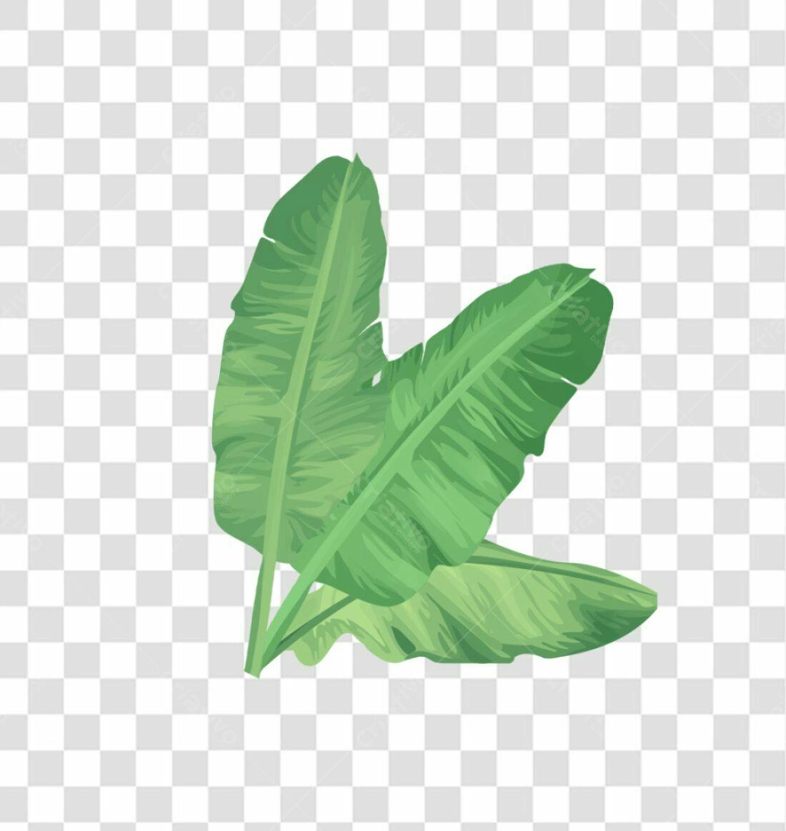 Icone Folhas de Banana PNG com fundo transparente