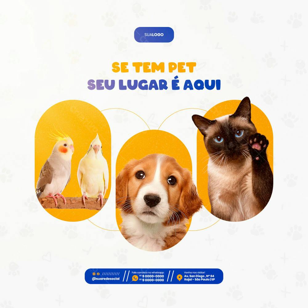 Petshop Se Tem Pet Seu Lugar É Aqui Social Media Feed