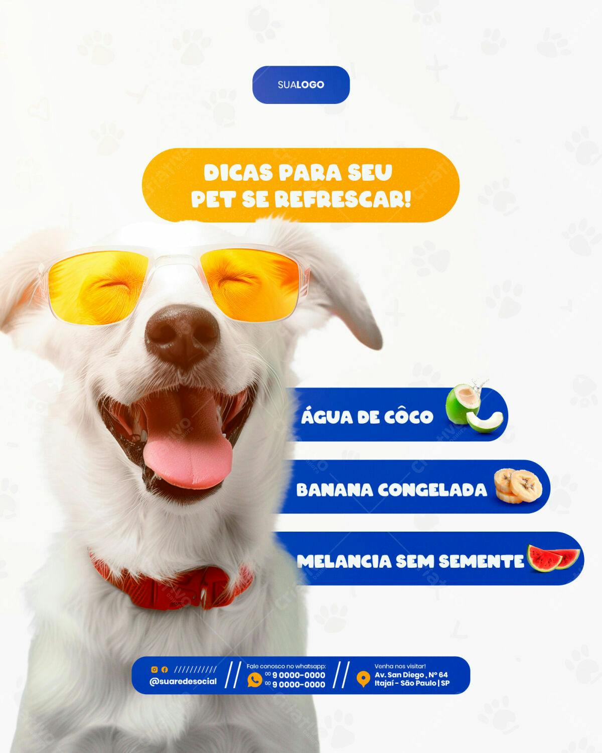 Flyer para Pet Verão PSD Editável