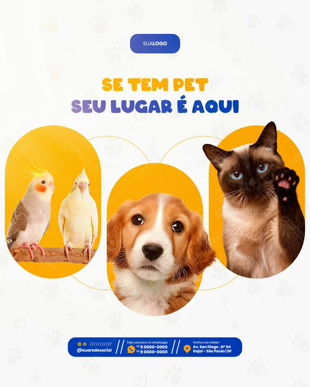 Petshop Se Tem Pet Seu Lugar É Aqui Social Media Feed Vertical