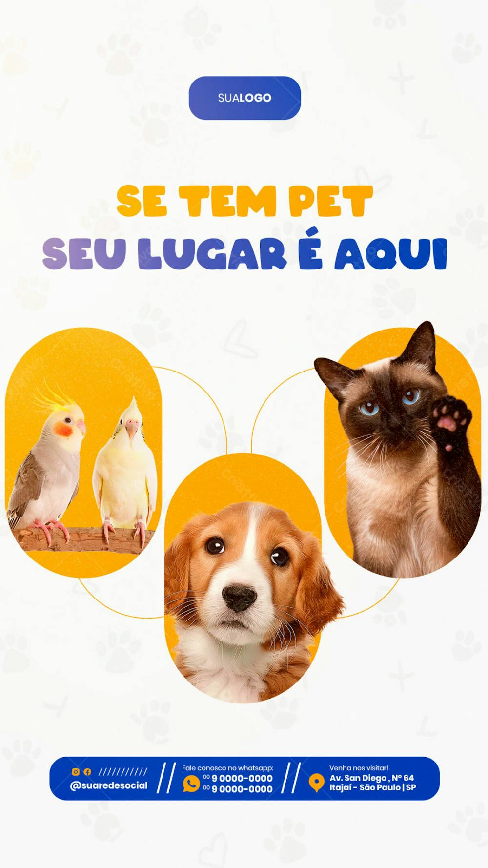 Petshop Se Tem Pet Seu Lugar É Aqui Social Media Story