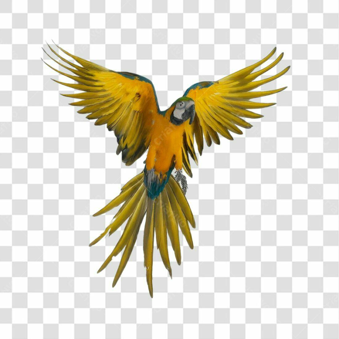 Icone Arara Azul e Amarela PNG com fundo transparente