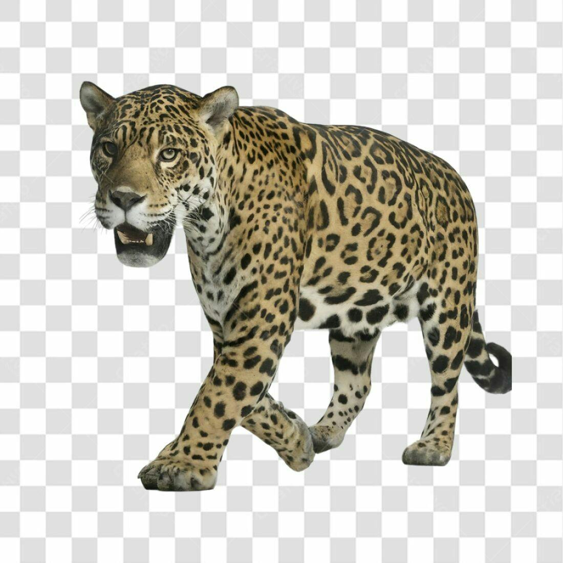 Icone de Jaguar PNG com fundo transparente