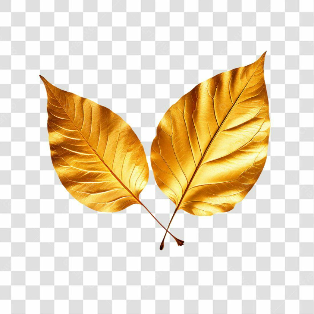 Icone Folhas Douradas PNG com fundo transparente