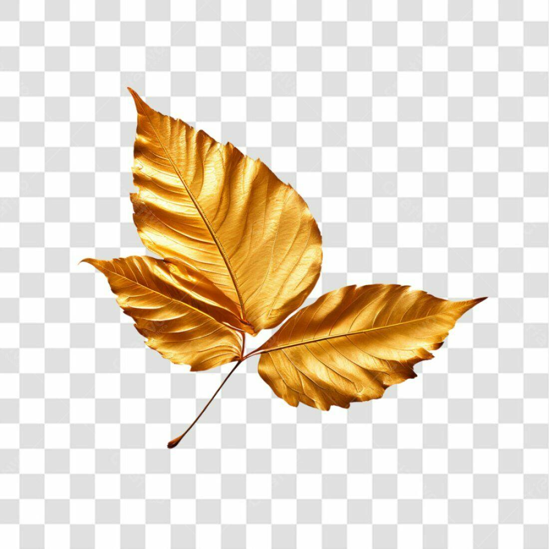 Icone Folhas Douradas PNG com fundo transparente