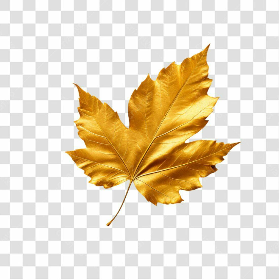Icone Folha Dourada Outono PNG com fundo transparente