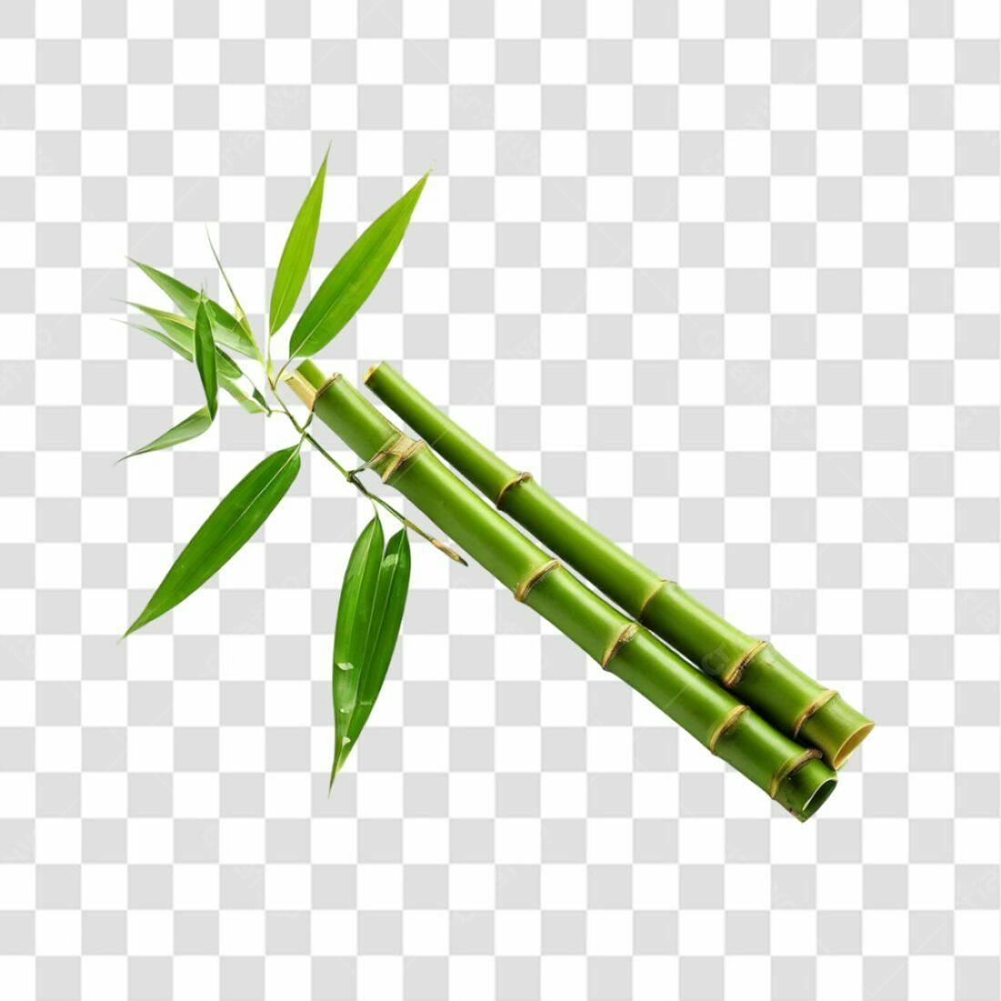 Icone de Bambu PNG com fundo transparente