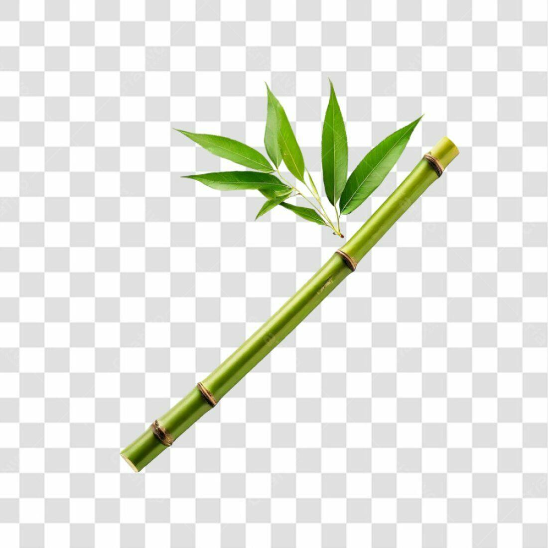Icone Bambu PNG com fundo transparente