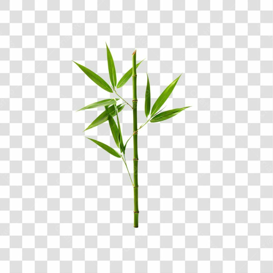 Icone Bambu PNG com fundo transparente