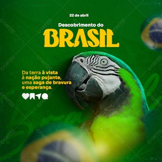 Da terra á vista á nação pujante psd descobrimento do brasil