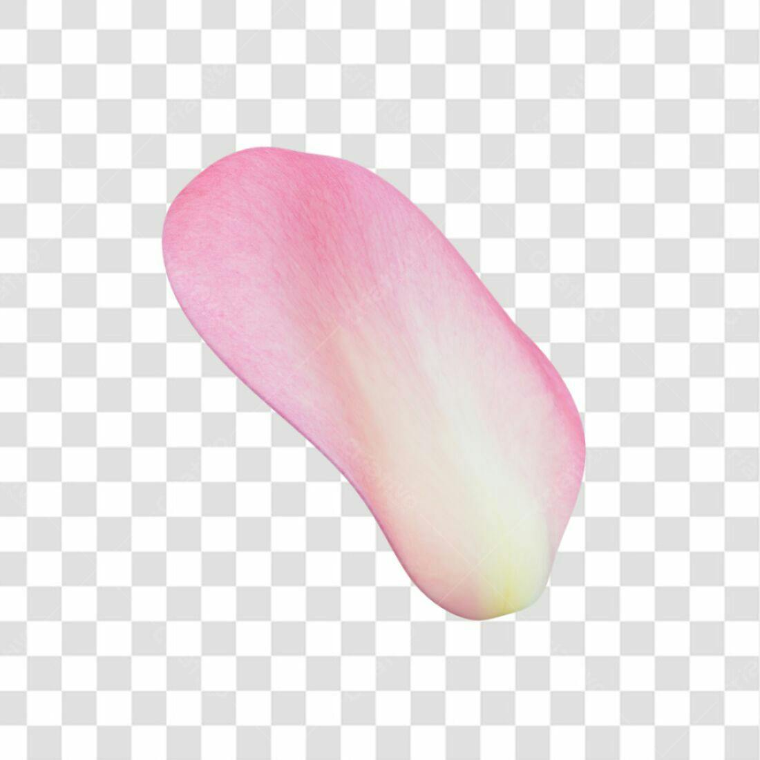 Icone pétala rosa PNG com fundo transparente