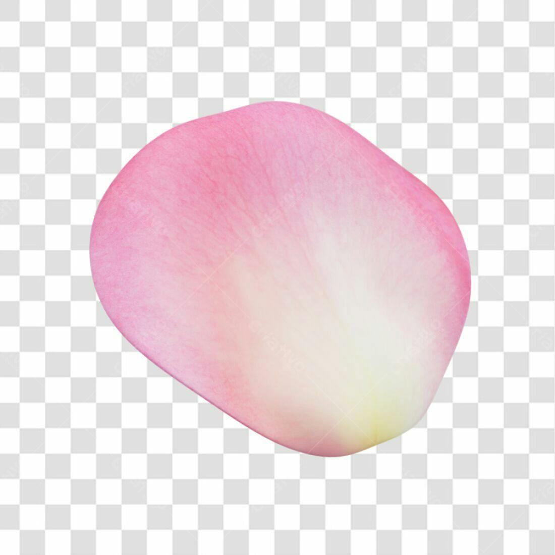 Icone pétala Rosa Dia dos Namorados PNG com fundo transparente