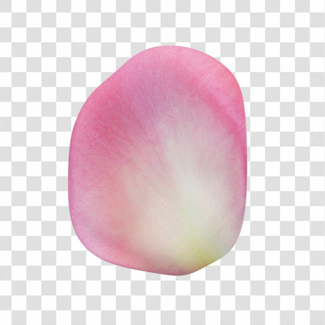 Icone Rosa pétala PNG com fundo transparente