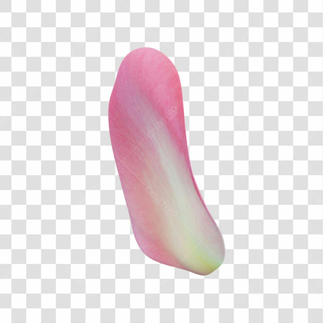 Icone pétala rosa PNG com fundo transparente