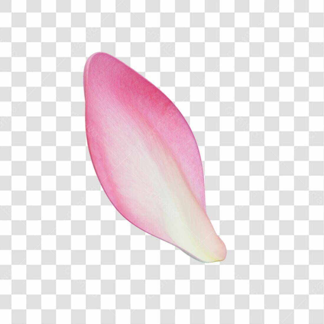 Icone floral pétala rosa PNG com fundo transparente