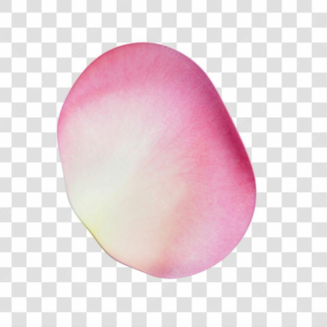 Icone Rosa Romântica PNG com fundo transparente