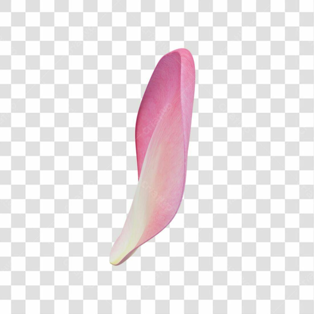 Icone floral pétala rosa PNG com fundo transparente