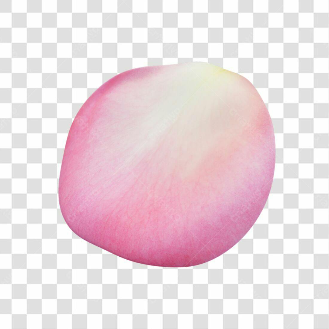 Icone pétala rosa PNG com fundo transparente
