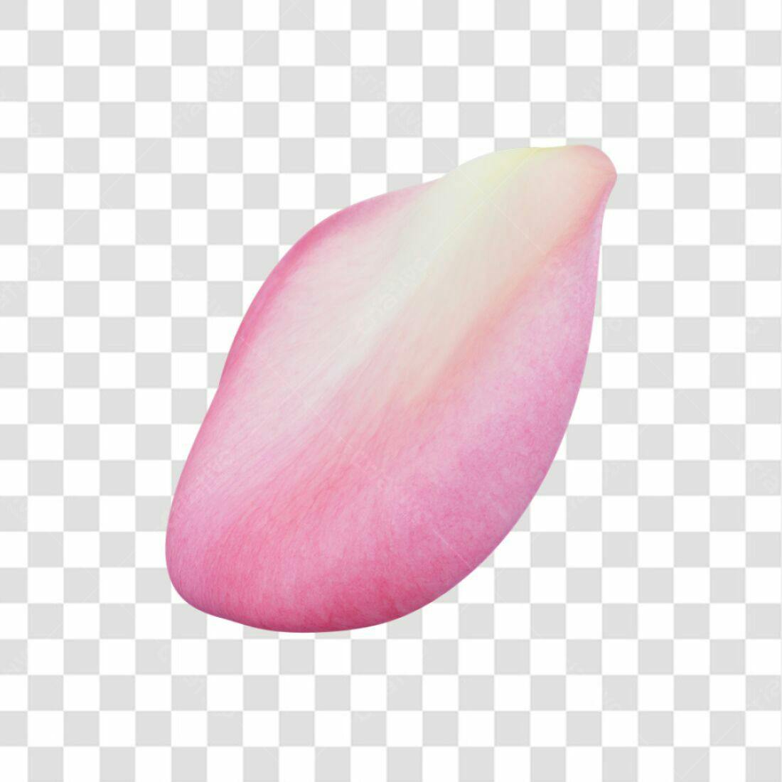 Icone floral pétala rosa PNG com fundo transparente