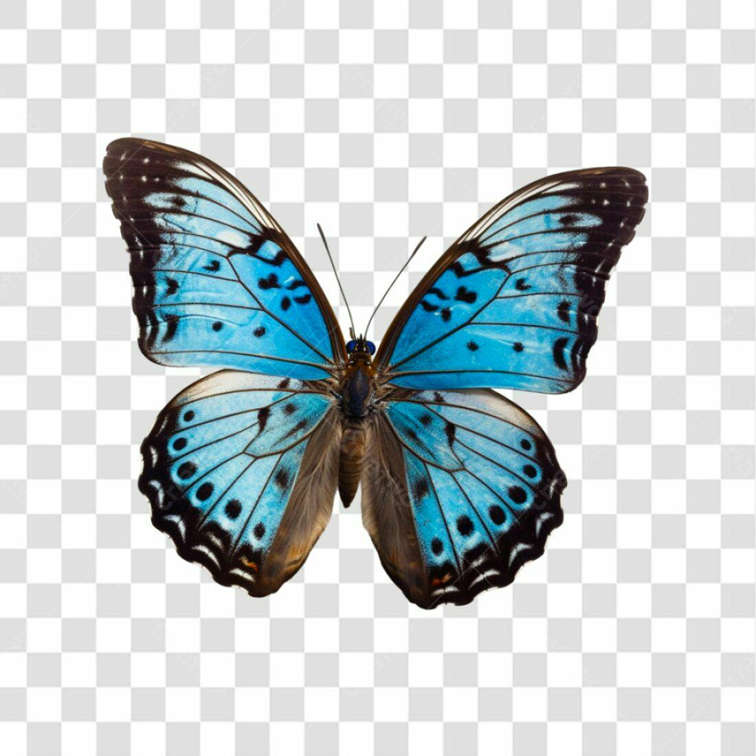 Icone Borboleta Azul PNG com fundo transparente