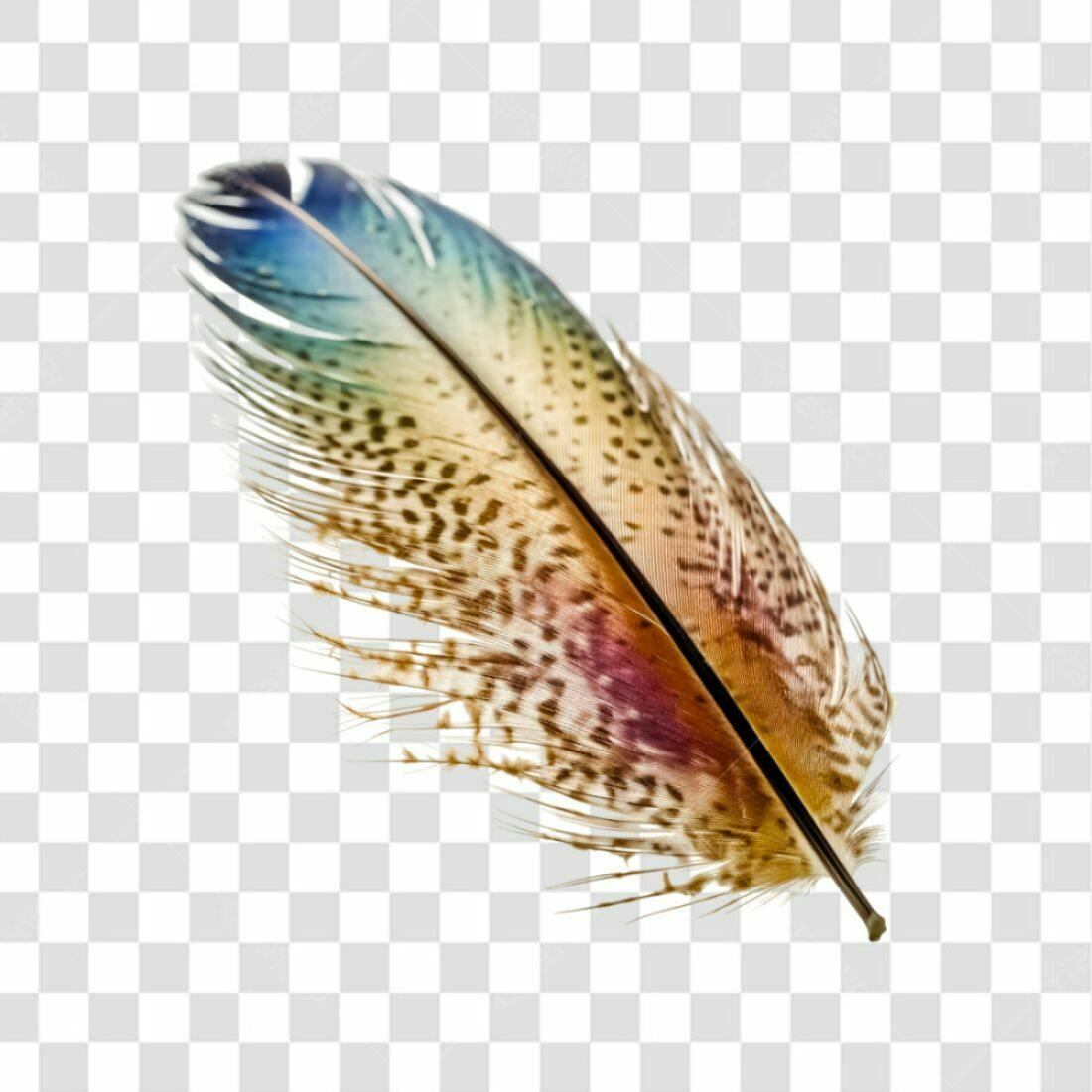 Icone Pena colorida PNG com fundo transparente