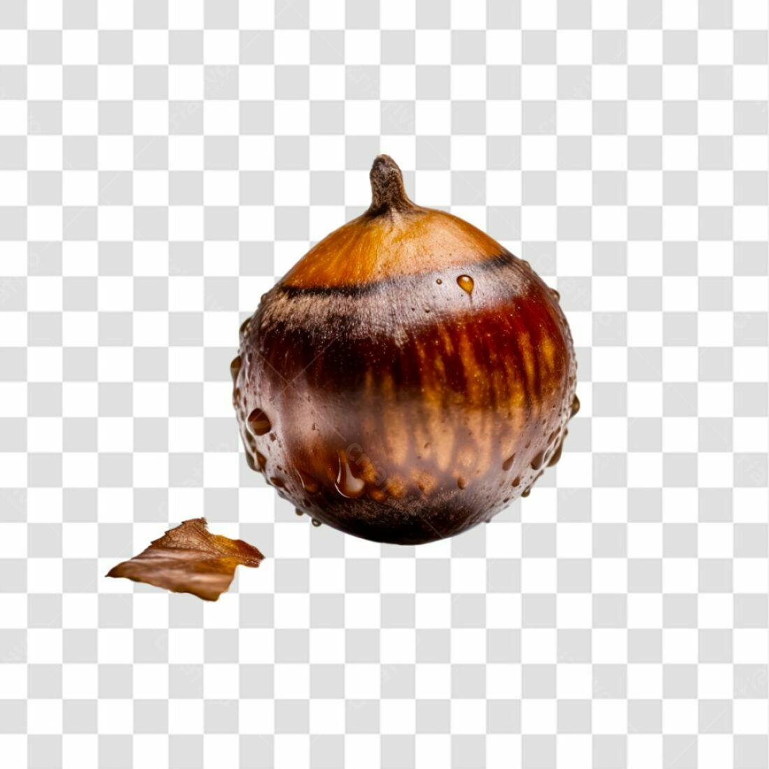 Icone Castanha Outono PNG com fundo transparente