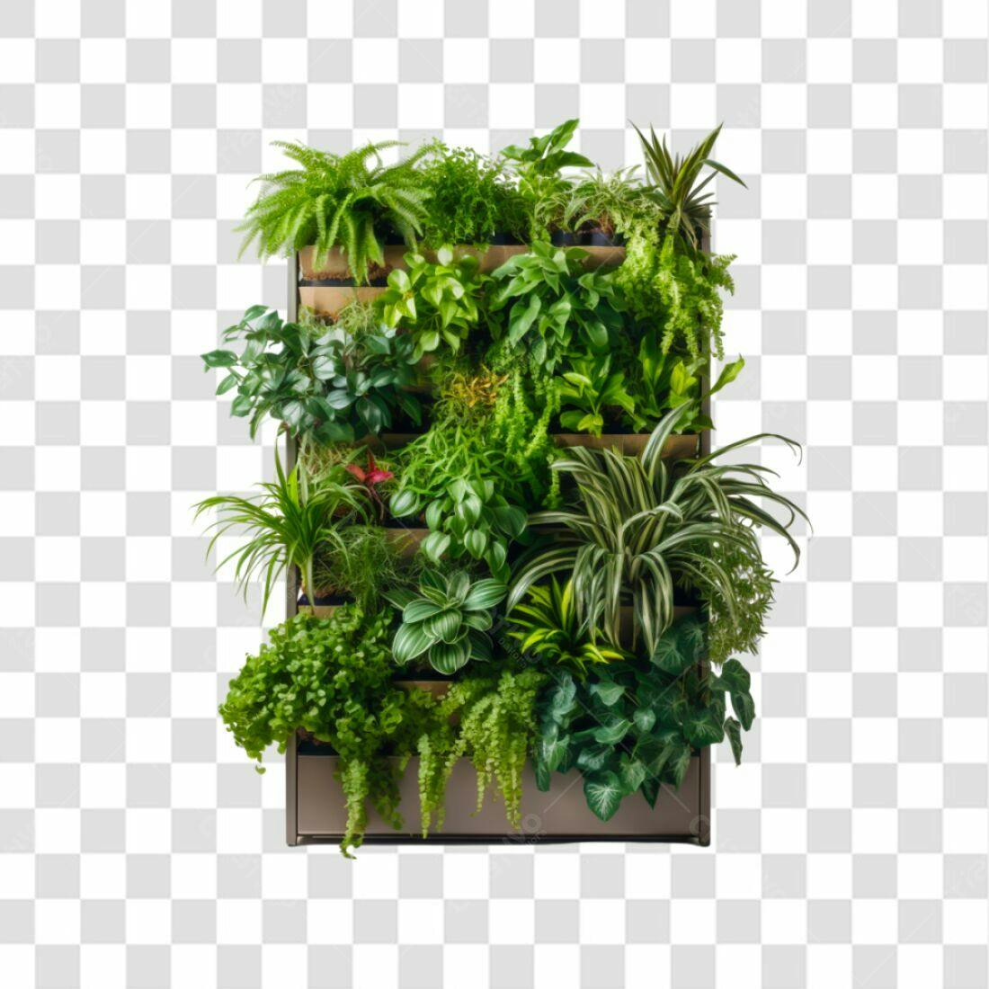 Jardim Vertical PNG com fundo transparente