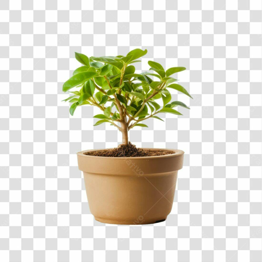 Icone Planta em Vaso PNG com fundo transparente