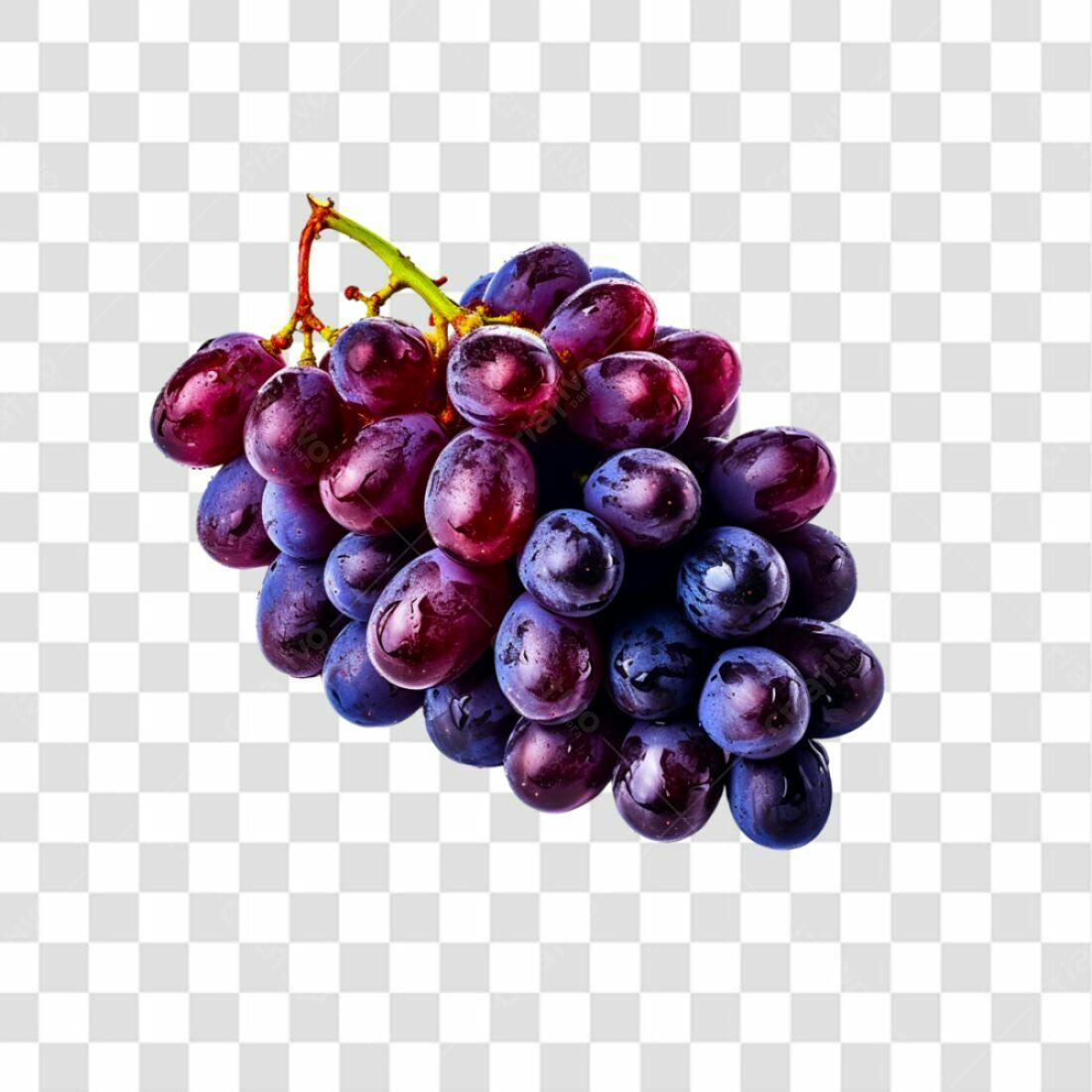 Icone Uvas Roxas e Vinhas PNG com fundo transparente