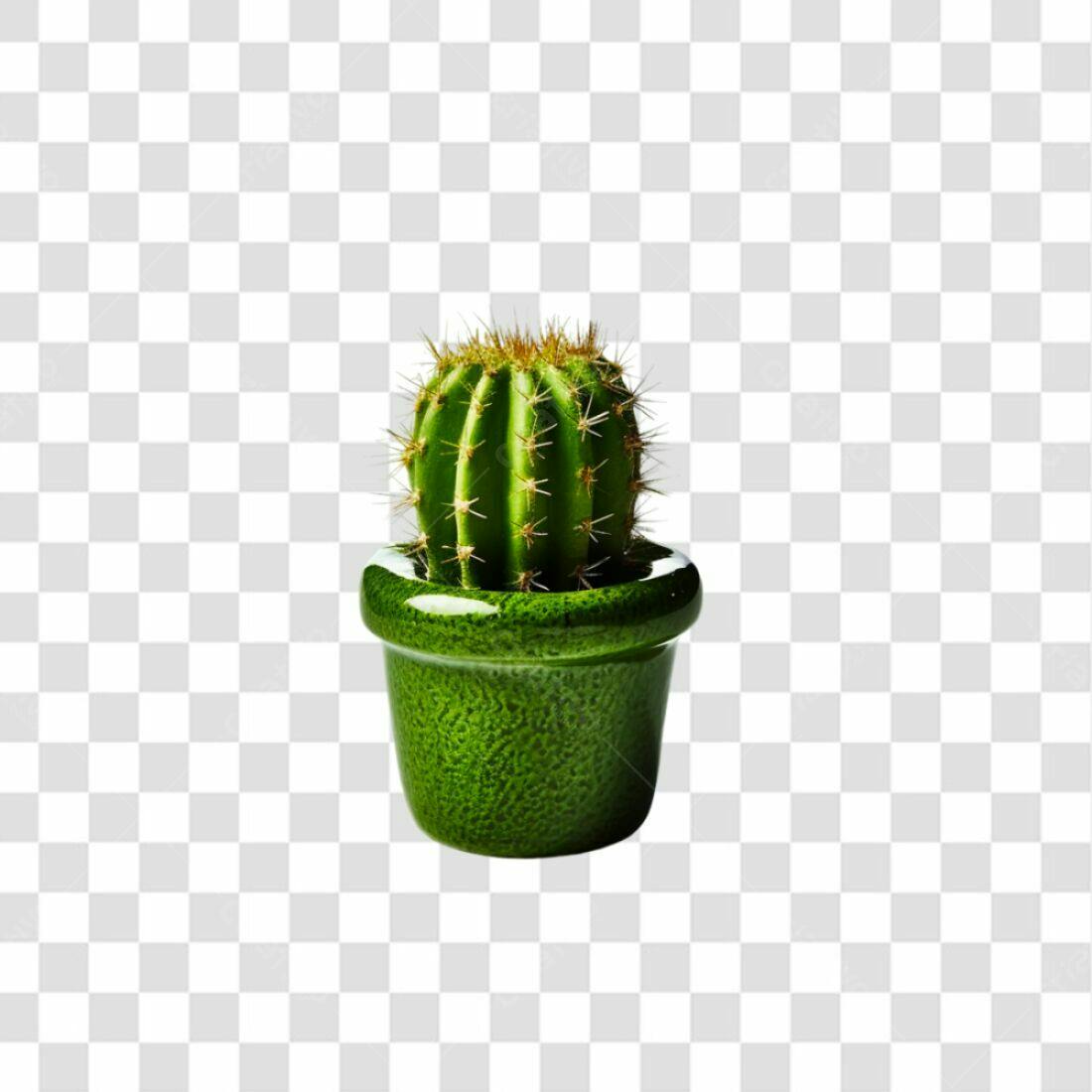 Icone Cactus em Vaso Verde PNG com fundo transparente
