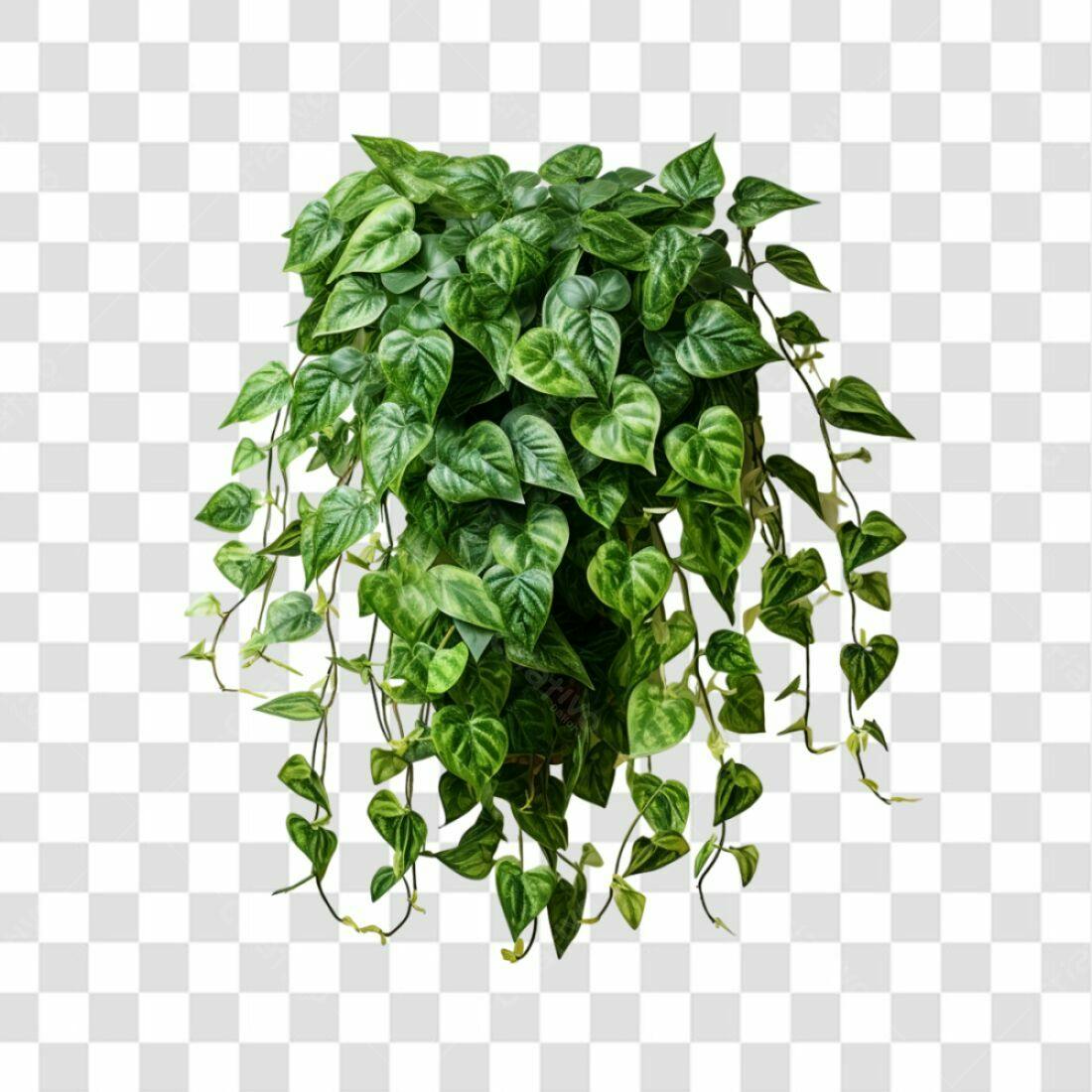 Icone Planta Pendente Folhas Verdes PNG com fundo transparente