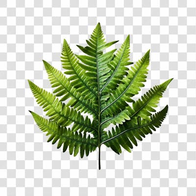 Planta Verde Png Transparente (4)