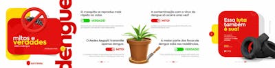 Campanha contra o Mosquito da Dengue Social Media Carrossel