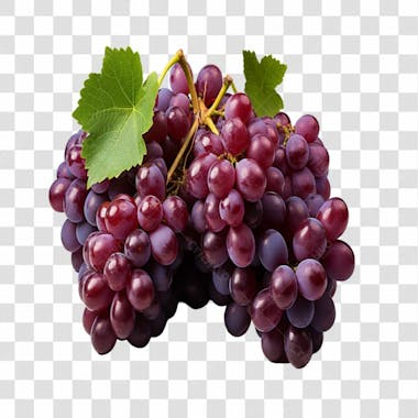 Cacho de uvas png transparente