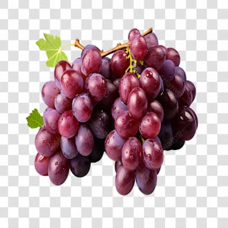Cacho de uvas png transparente